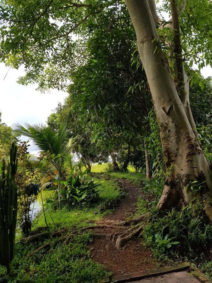 Kingfisher Ecolodge Ban Kian-Ngong Zewnętrze zdjęcie