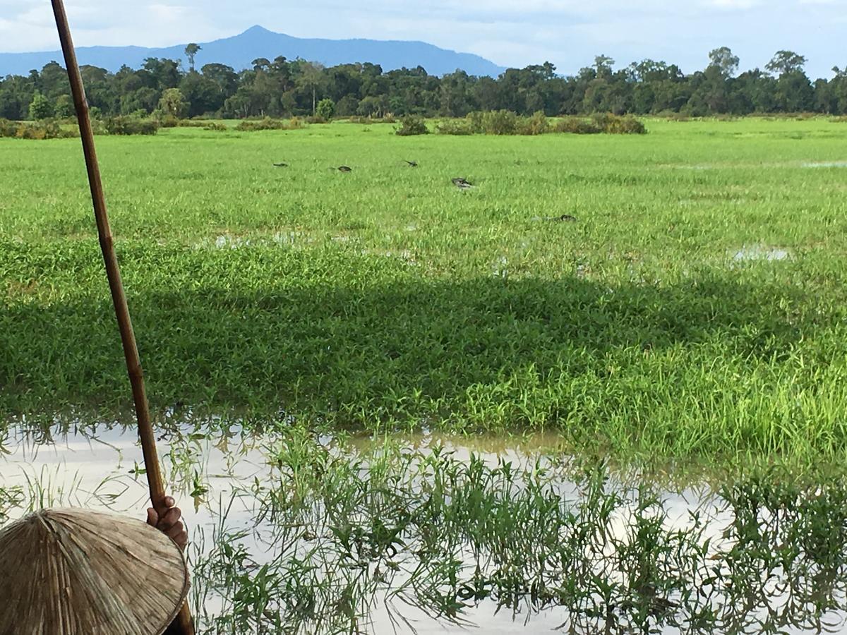 Kingfisher Ecolodge Ban Kian-Ngong Zewnętrze zdjęcie